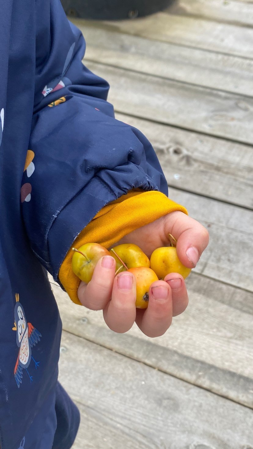 Frutitas