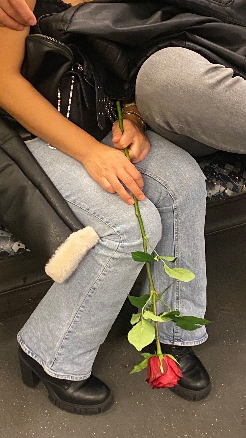 rosa